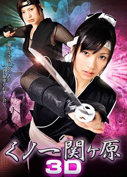 关原女忍的激情诱惑